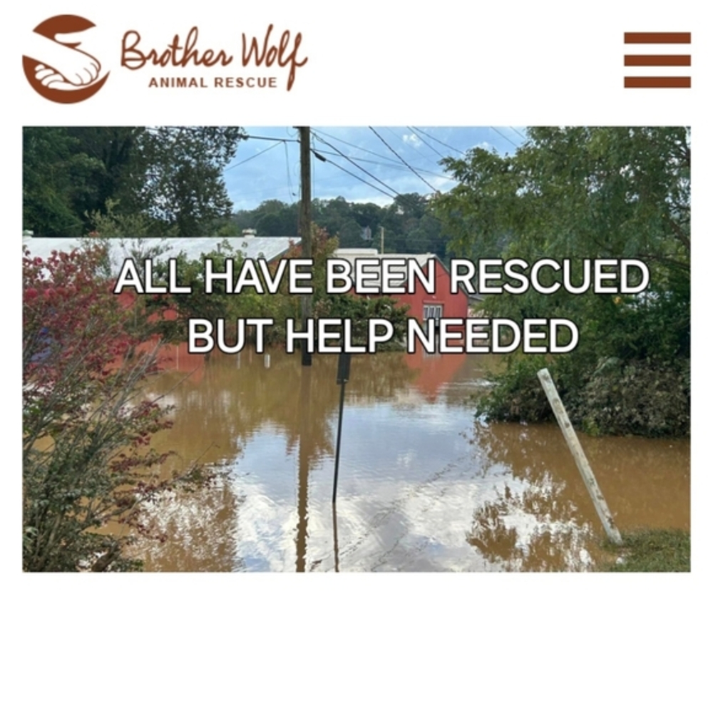 Rescue Updates... - Picture 6 of 13